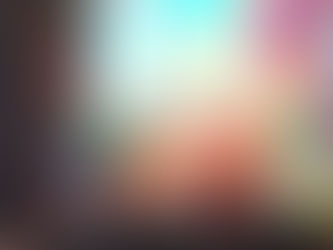 La Profepa clausura desarrollos turísticos propiedad de ambientalistas en Sisal por violar las leyes ambientales