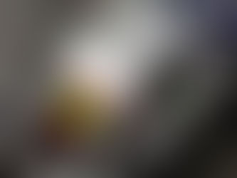 Mala práctica prolongó agonÃa del perro lucio