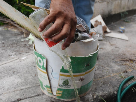 Inicia campaña “Mi Hogar Sin Criaderos de Moscos” en Mérida
y sus comisarías