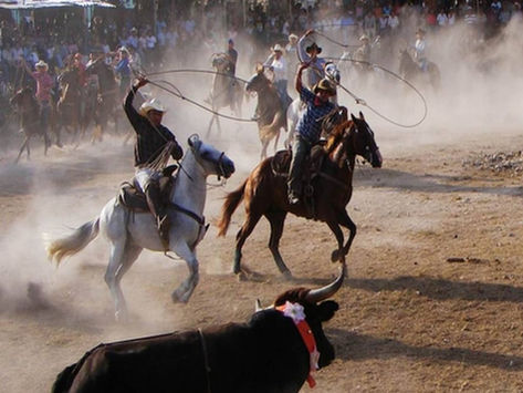 Amparos para impedir corridas de toros y torneos de lazo en tres municipios de Yucatán