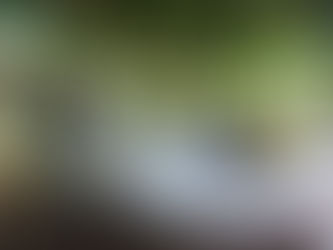 La Sedena alerta sobre falsos reclutadores en Yucatán