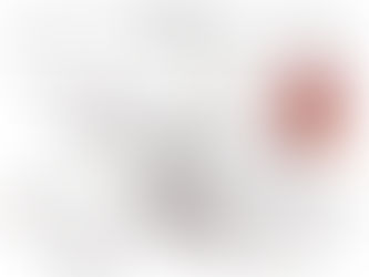 Mérida ya no figura entre las ciudades más seguras del paÃs; INEGI