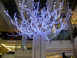 tysons-galleria-set-up_3245356539_o