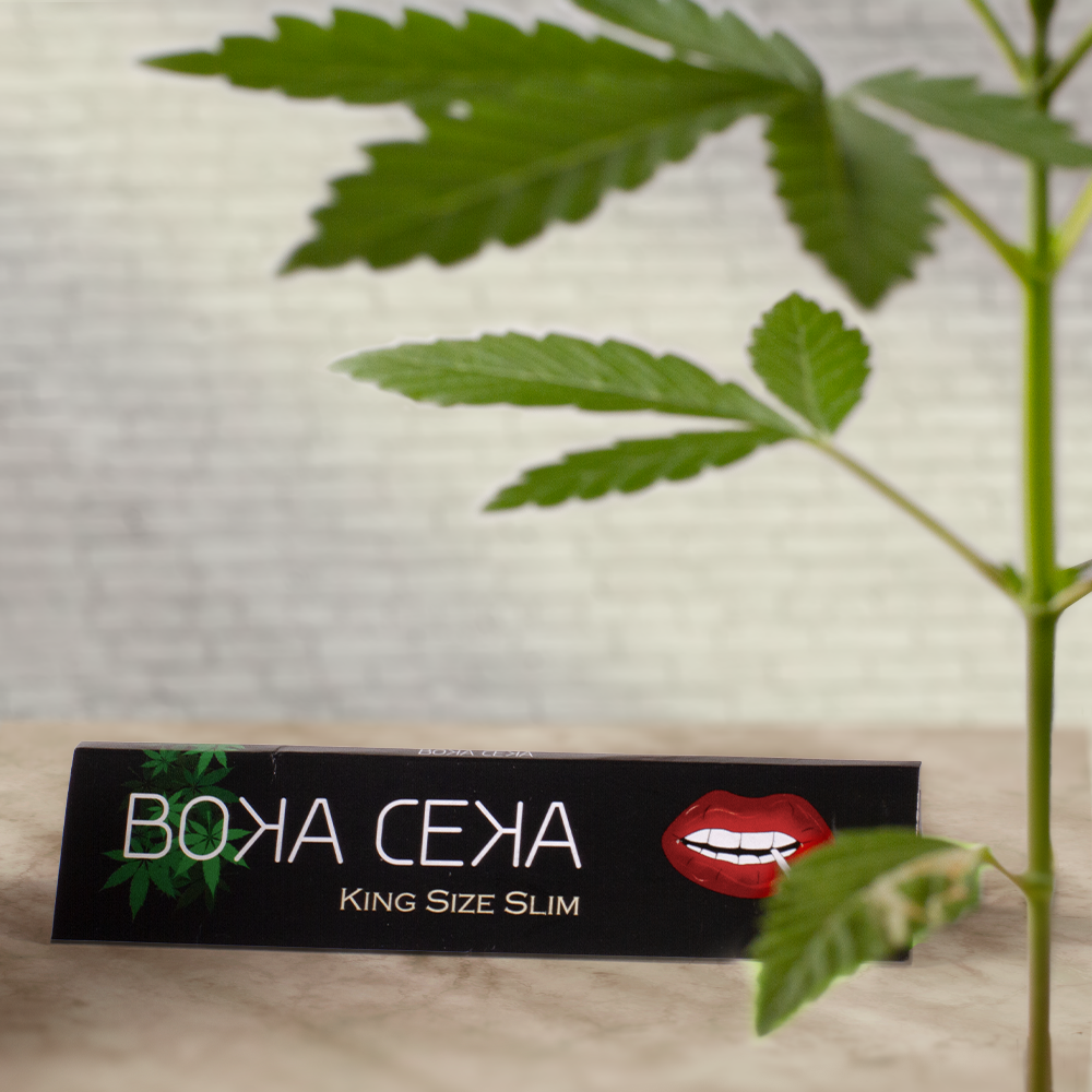 Sedas Boka Ceka King Size