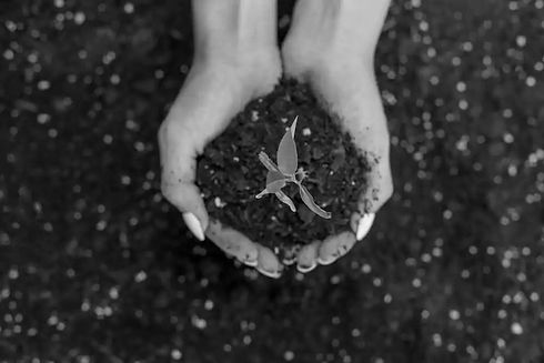 Hands-Holding-Soil_edited.jpg