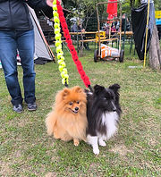 IMG_20251004_130610.jpg