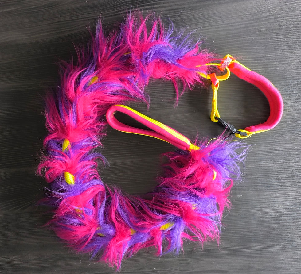 Thumbnail: Slip play agility leash with faux fur