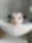 imgi_65_d98ece_04e330e3ffcd4864944a18aa5e68970f~mv2.jpg