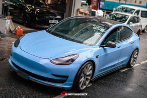 TELSA Model 3 Paragon Replacement Rotor 
