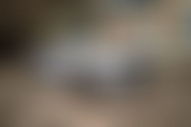 《 BMW M2 》 #避震機升級 | 安裝德國製造BILSTEIN PSS10 可以調校高低+ 10段軟硬