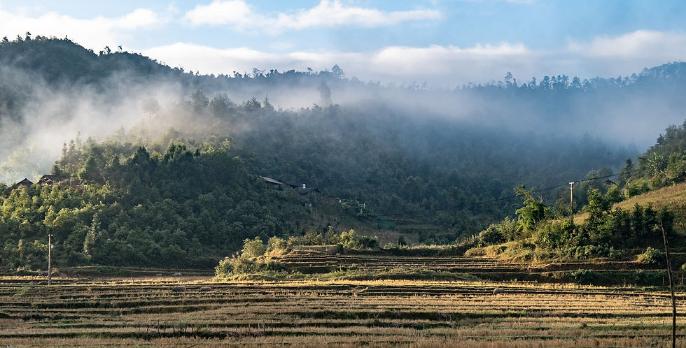 Vietnam-7838