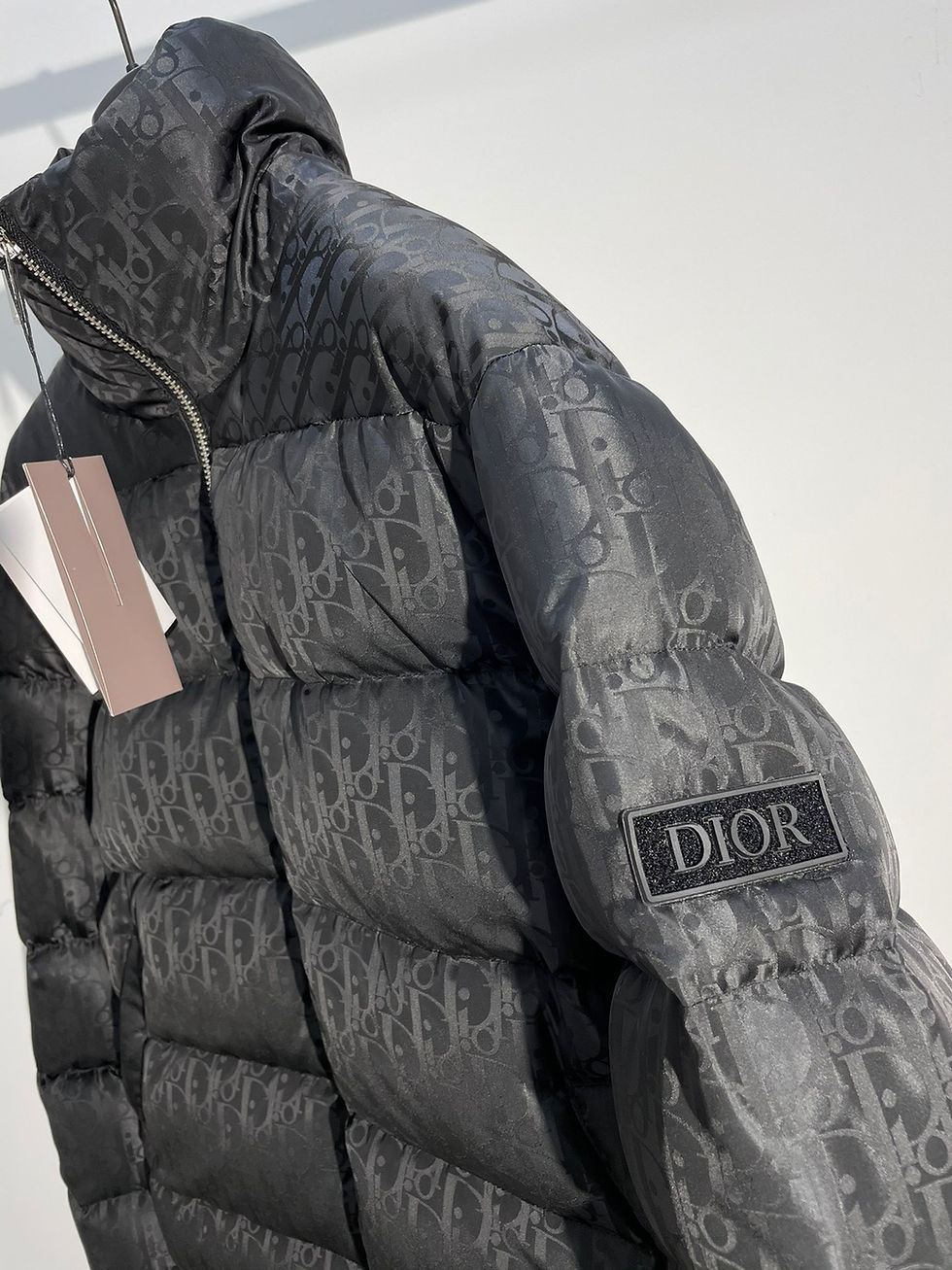 섬네일: DIOR OBLIQUE DOWN PADDING JACKET