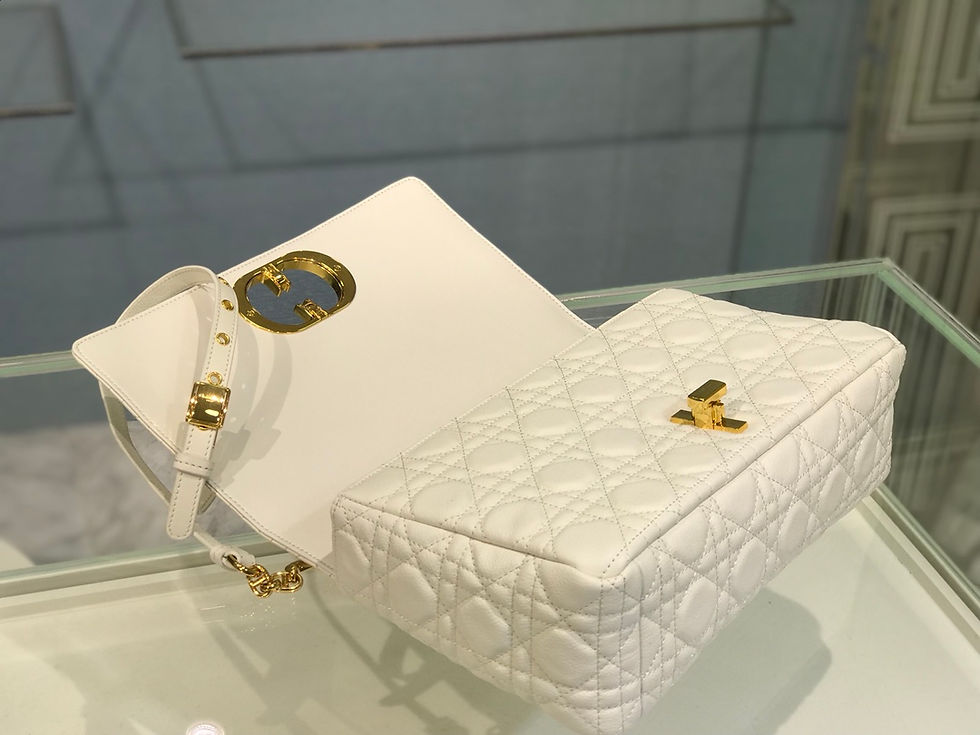 섬네일: DIOR CARO BAG(28)