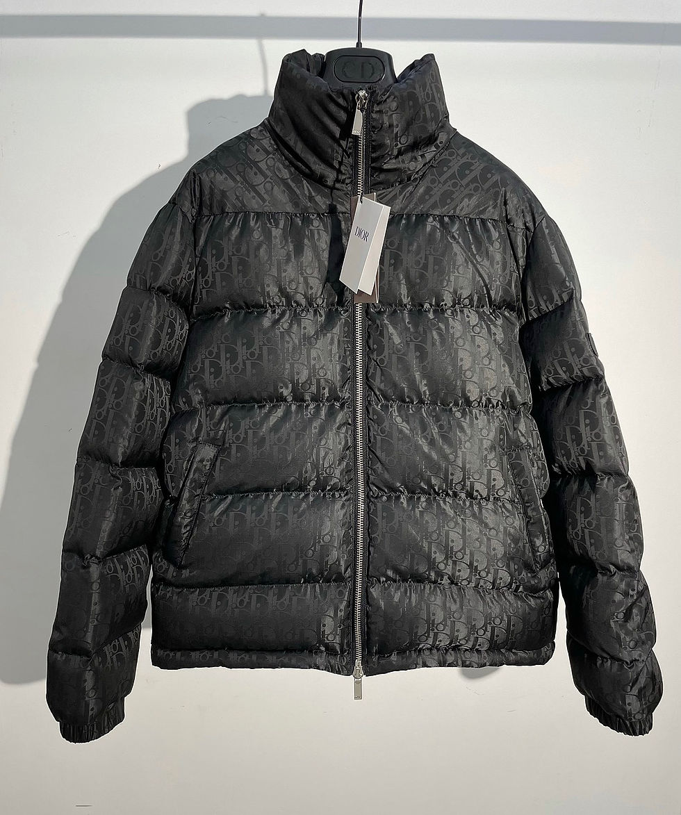 섬네일: DIOR OBLIQUE DOWN PADDING JACKET