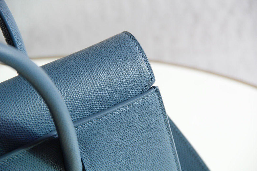 섬네일: DIOR SAINT HONORE CABAS BAG