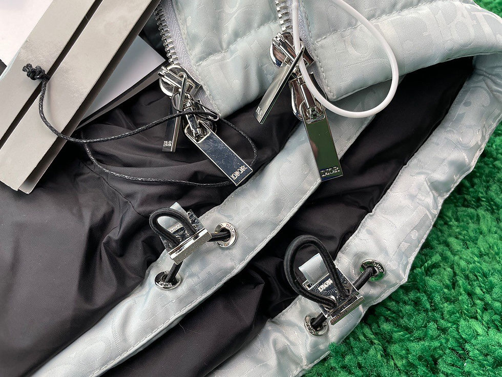 섬네일: DIOR OBLIQUE DUCK DOWN PADDING