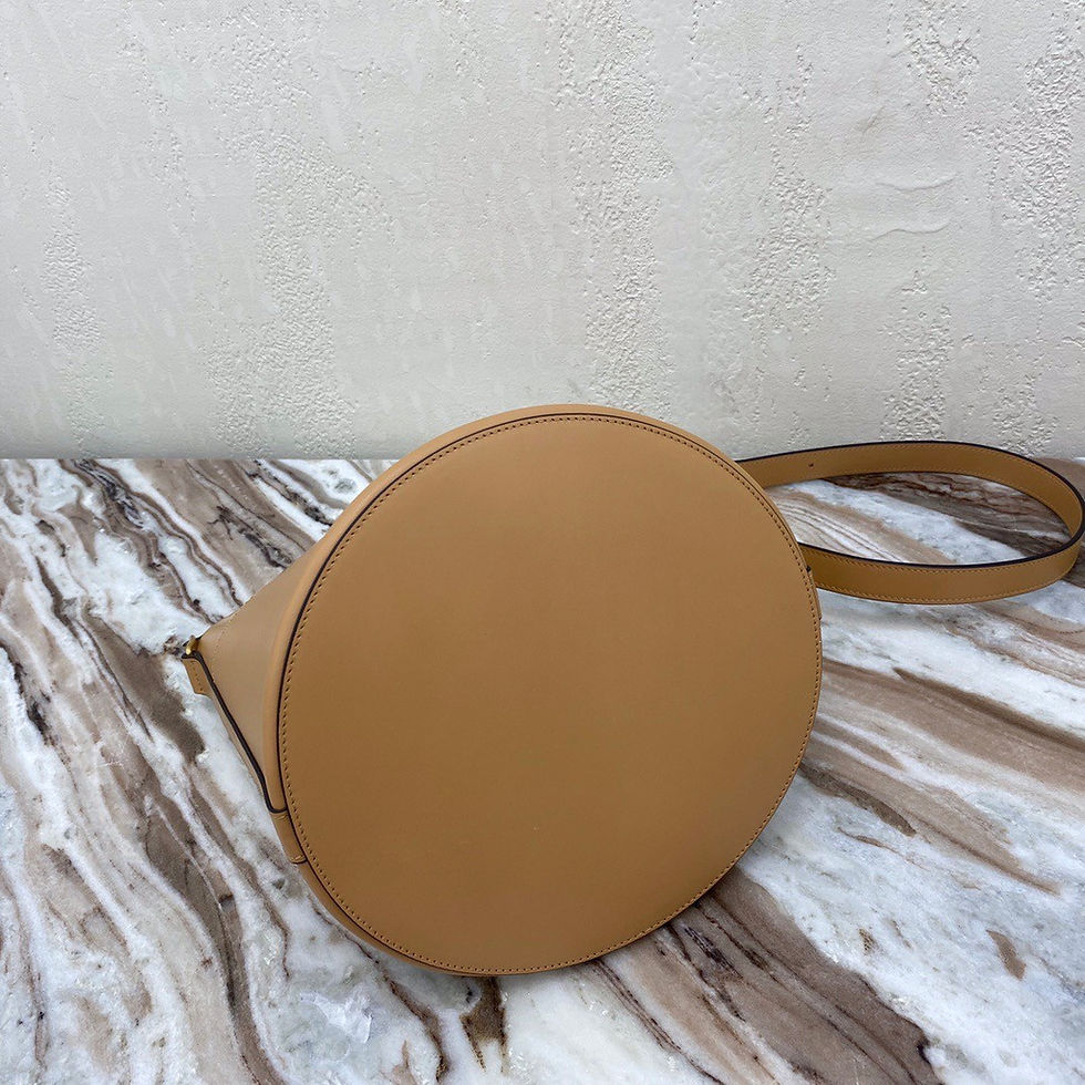 섬네일: CELINE TRIOMPHE MAILLON BUCKET BAG