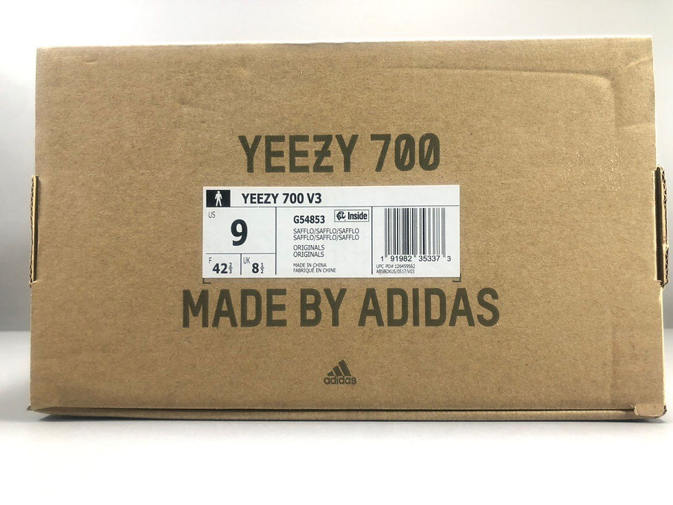 섬네일: YEEZY BOOST 700 V3 SAFFLOWER [OG]