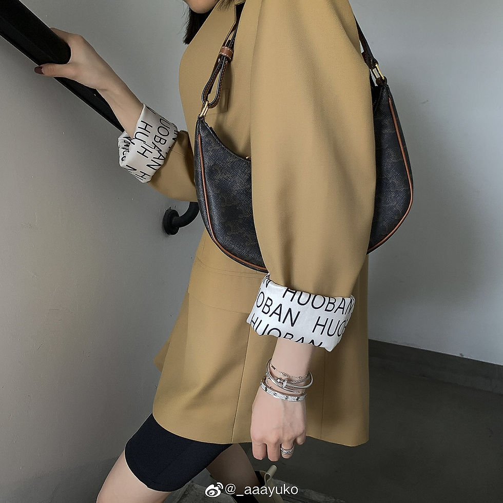 섬네일: CELINE AVA HOBO BAG