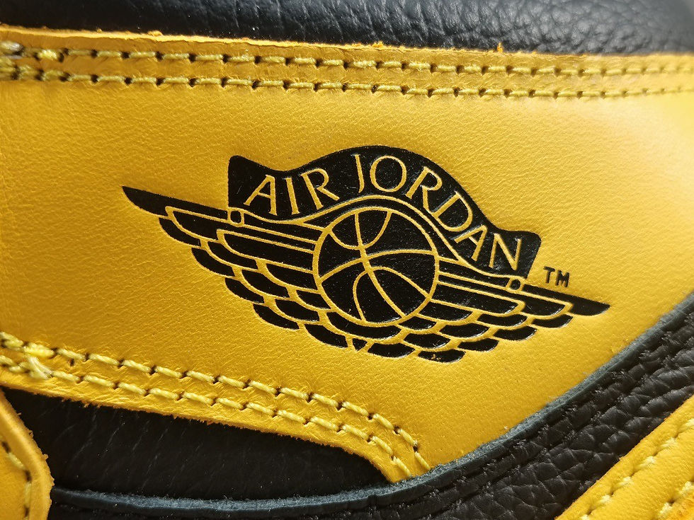 섬네일: AIR JORDAN 1 POLLEN [OG]