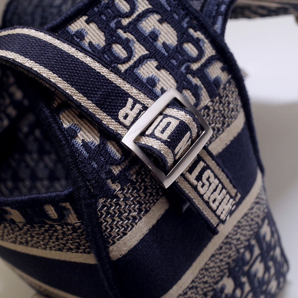 섬네일: DIOR CAMP BAG