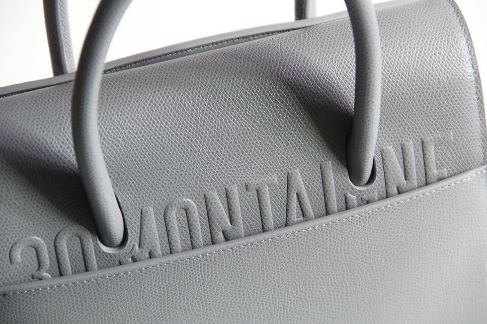 섬네일: DIOR SAINT HONORE CABAS BAG