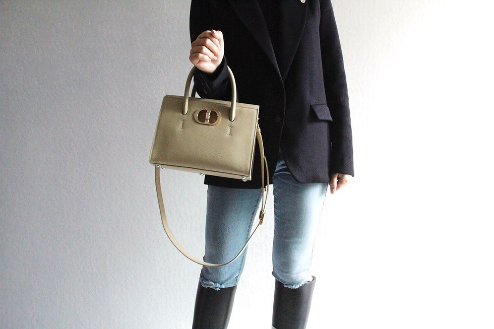 섬네일: DIOR SAINT HONORE CABAS BAG