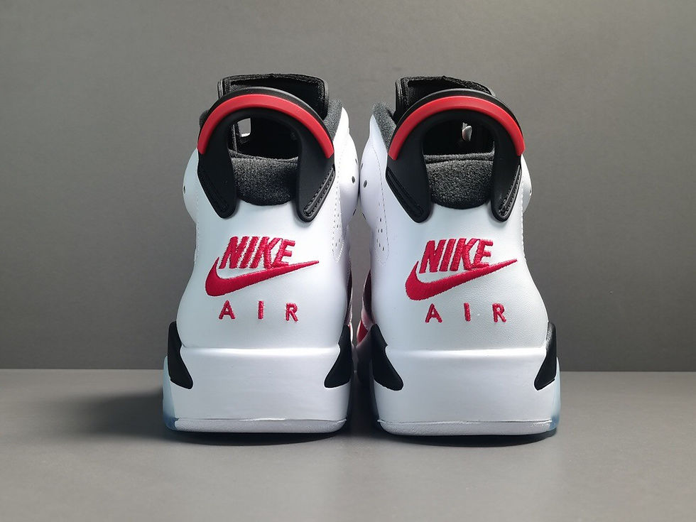 섬네일: AIR JORDAN 6 CARMINE [GOD]