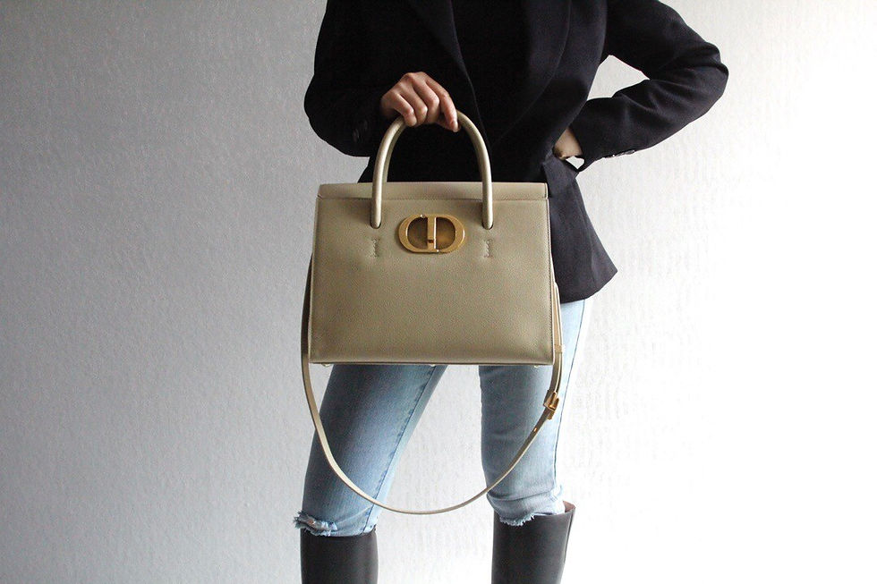 섬네일: DIOR SAINT HONORE CABAS BAG