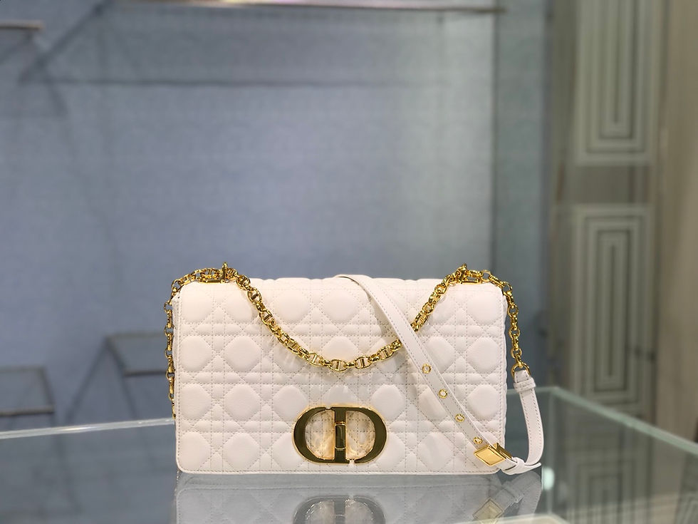 DIOR CARO BAG(28)