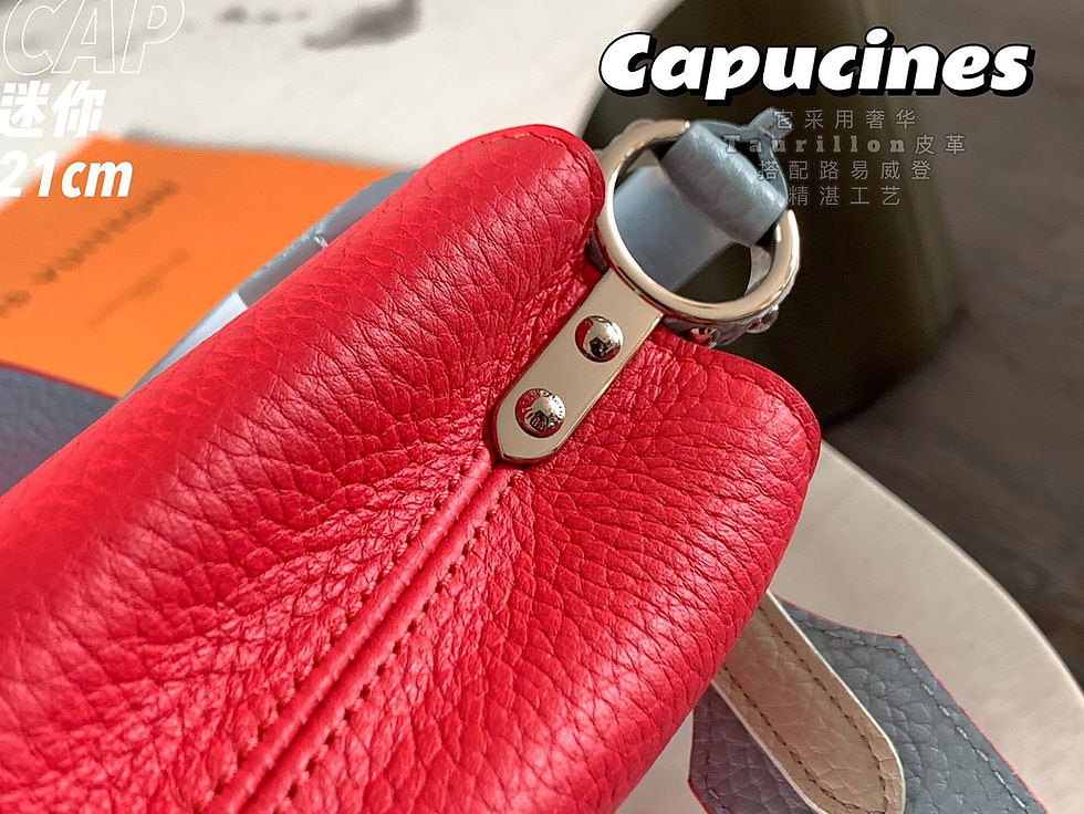 섬네일: LOUIS VUITTON CAPUCINES MINI