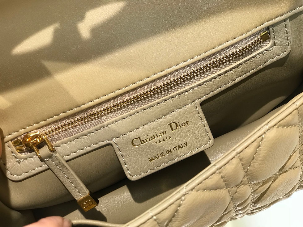 섬네일: DIOR CARO BAG(20)