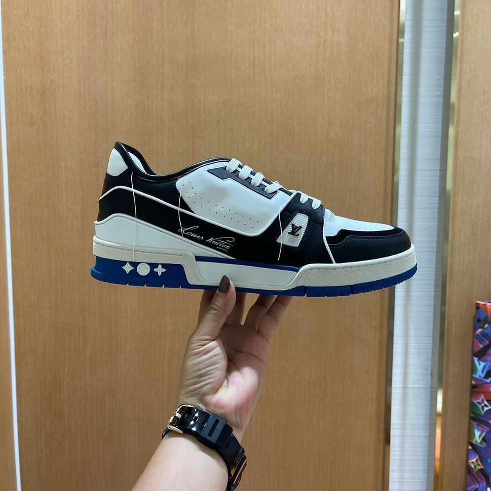 섬네일: LOUIS VUITTON TRAINER LOW [FU]