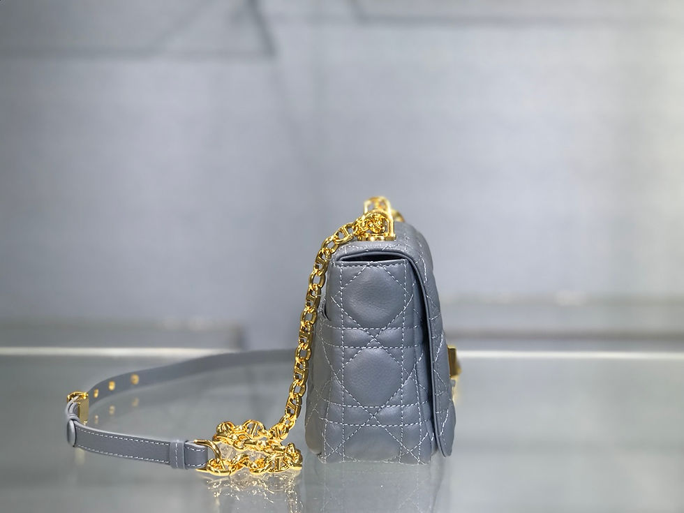 섬네일: DIOR CARO BAG(20)