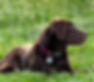 IMG_0449_edited.jpg