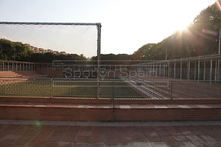 IMG_7410 (1) (1).jpg