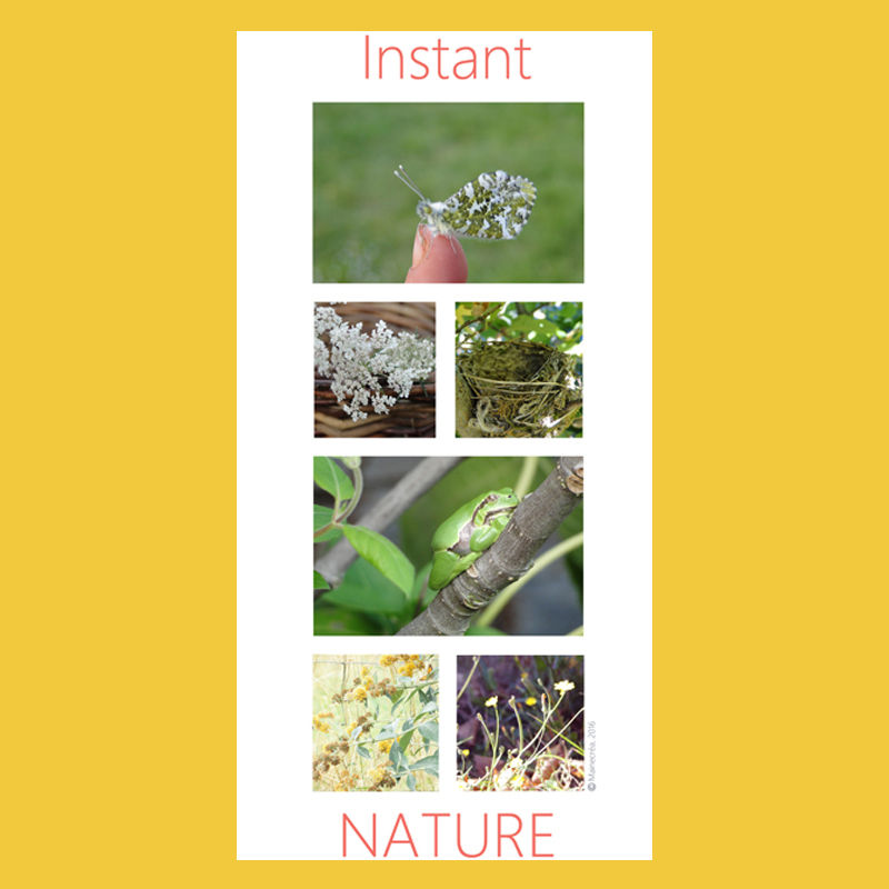 Carte " Instant nature"