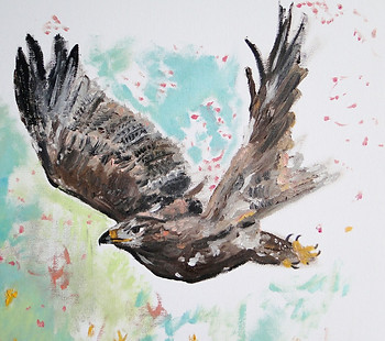 aigle1_edited.jpg