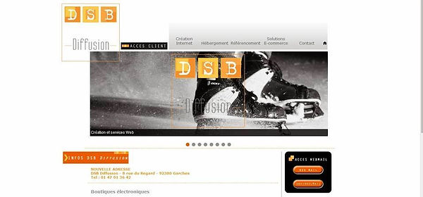 dsb1.jpg