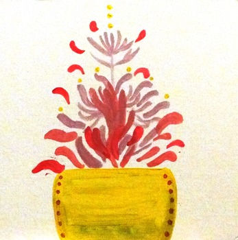 Plante grasse rose