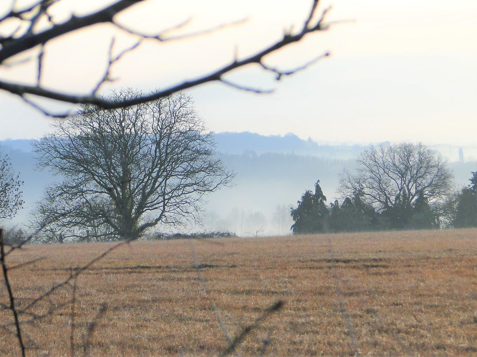 mainecrea-HeleneDelaunay21mars2019