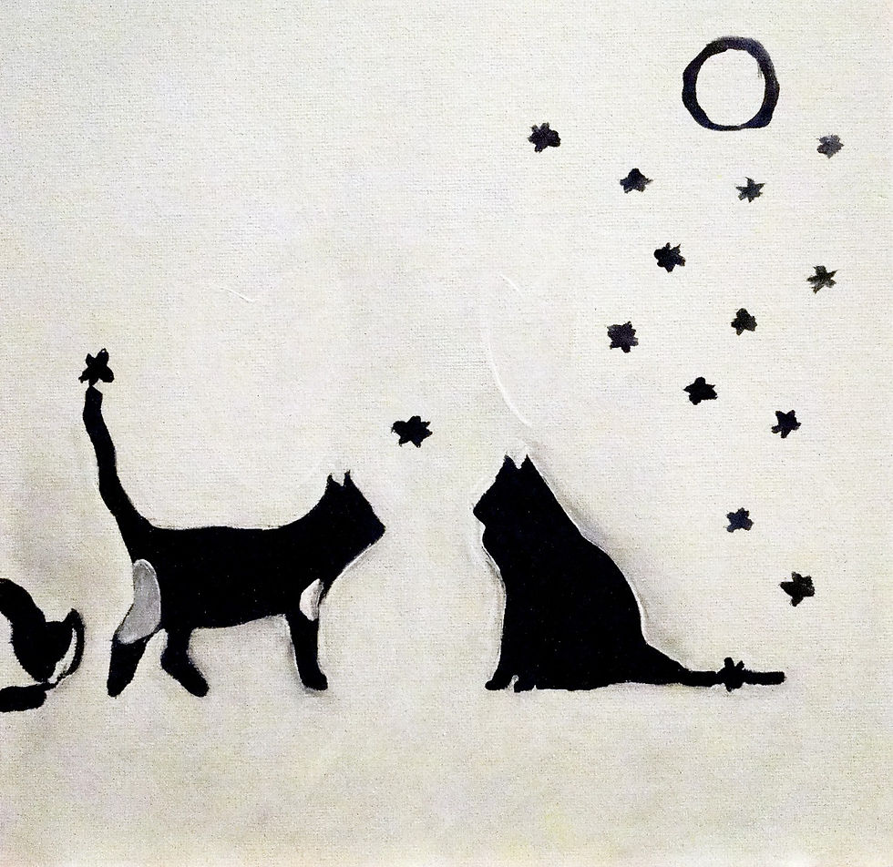 Rencontre nocturne