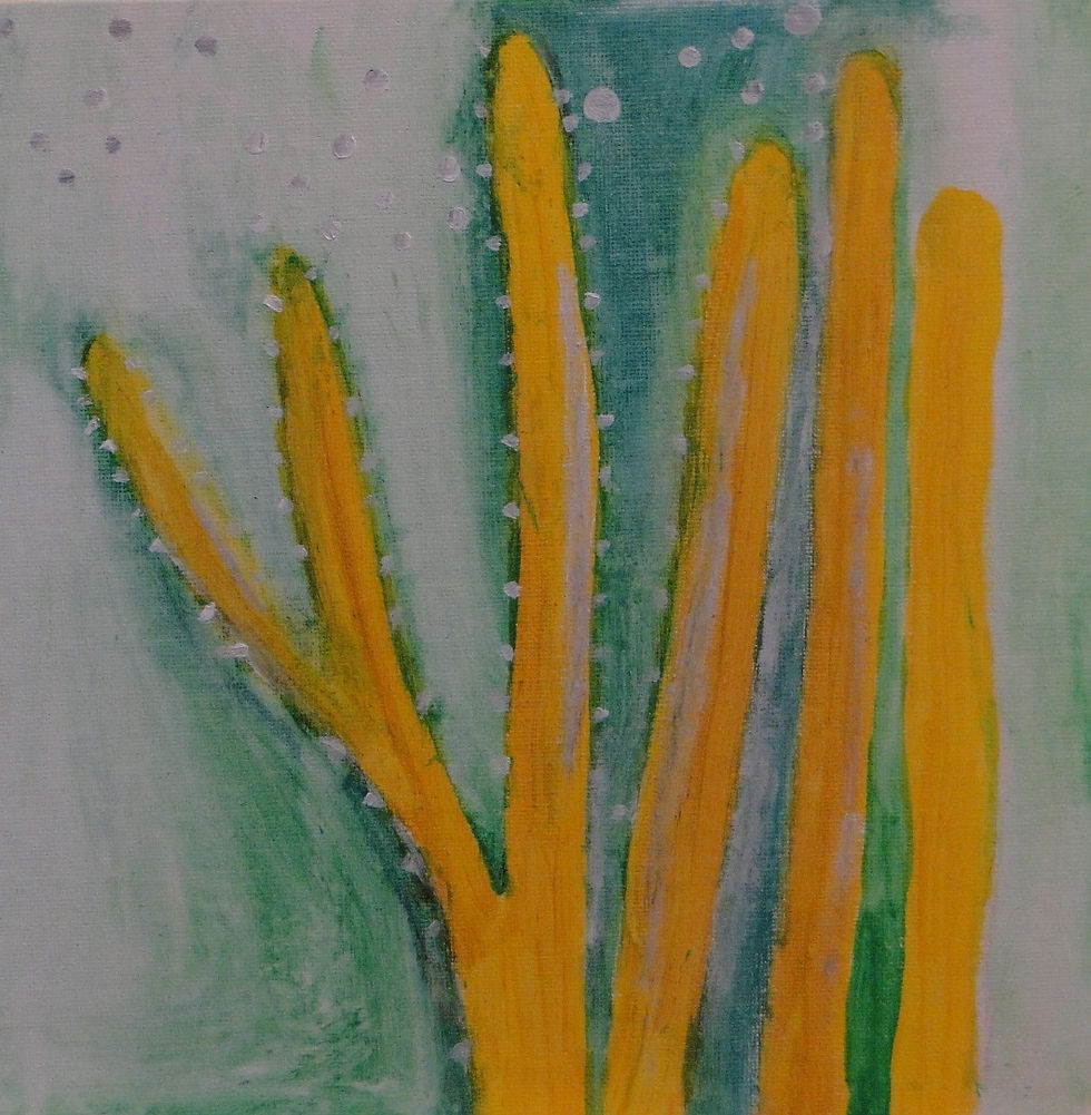 Cactus jaunes 2018