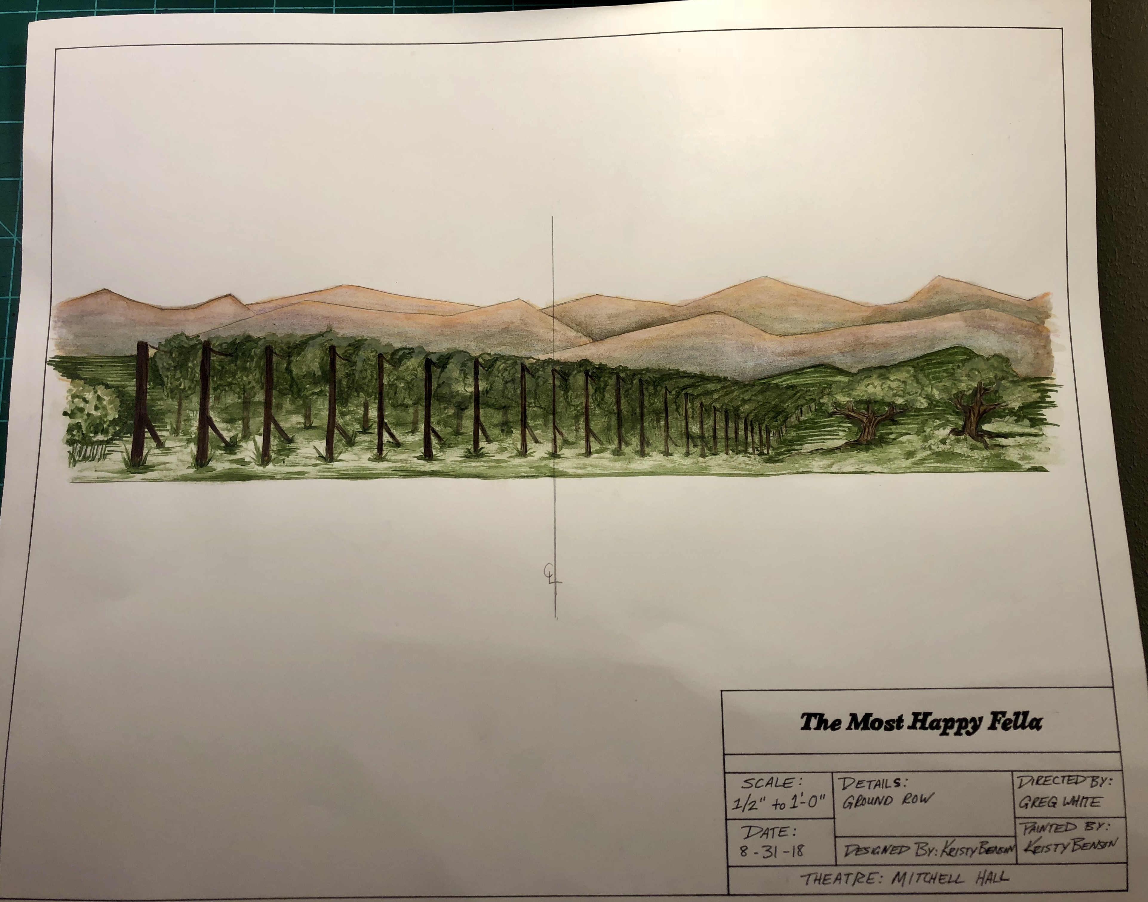 Vineyard Ground Row Paint Elevation
