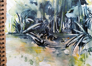 Avsf Amazonie végétation.jpg