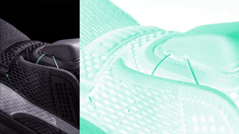 Animated GIF-downsized_large.gif