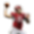 Ryan Mallett PNG