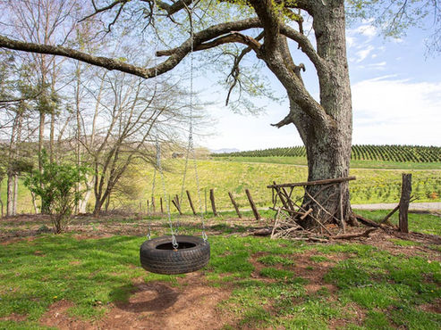 Tire swing on property at Wildwind Retreat in Boone, North Carolina