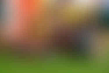 Tigers v Trailfinders - Image by Mark Dunn Photography