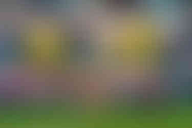 Tigers v Trailfinders - Image by Mark Dunn Photography